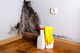 Professional Mold Remediation in Cohoe, AK